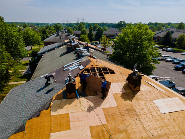 Best Metal Roofing Contractor  in Southern Gateway, VA